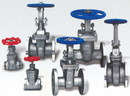 Cast Stainless Steel OS&Y Gate, OS&Y Globe, Swing Check valves,Class 150LB, CF8M, API 603